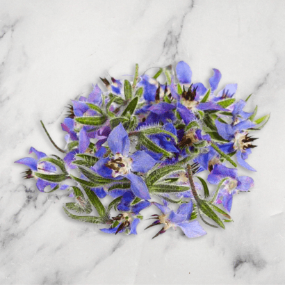 Borage Flowers