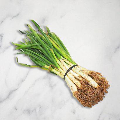 Calcot Onions