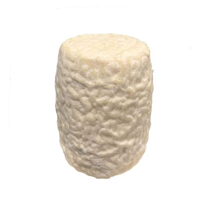 Chabis Goat Cheese