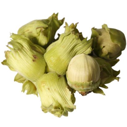 Buy Fresh Cobnuts Online & In London UK