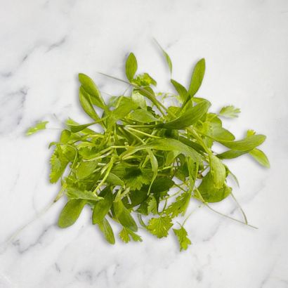 Micro Coriander