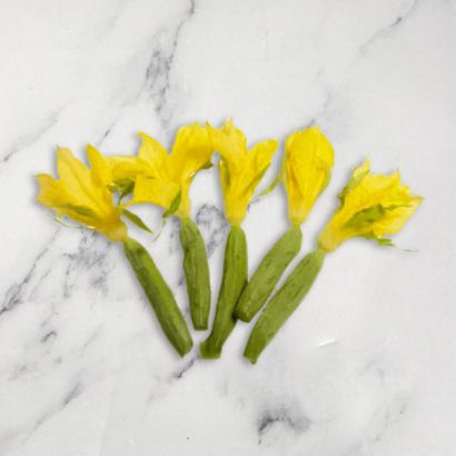 Cucumber Flowers