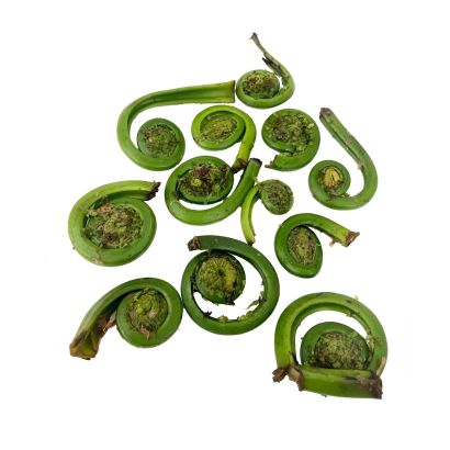 Fiddleheads, Fresh, +/-250g