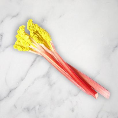 Forced Rhubarb