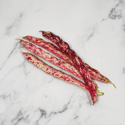Fresh Borlotti Beans
