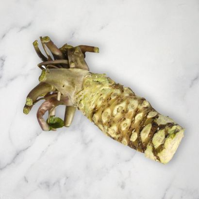 Fresh Wasabi Root