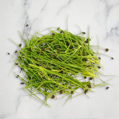 Garlic Chives