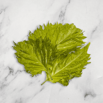 Green Shiso Leaves