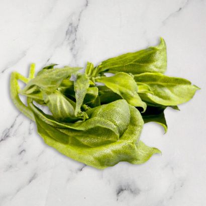 Ice Lettuce 