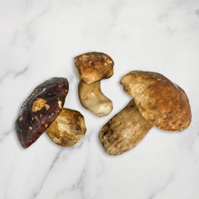 Italian Porcini Mushrooms
