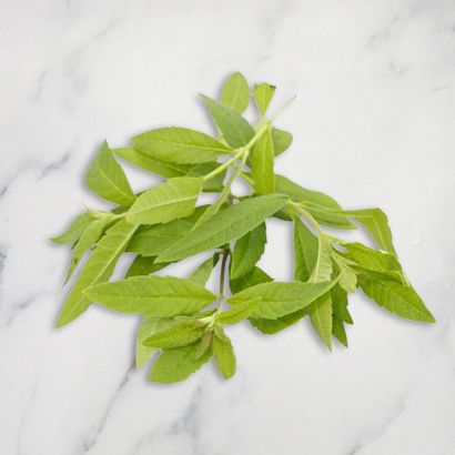 Lemon Verbena