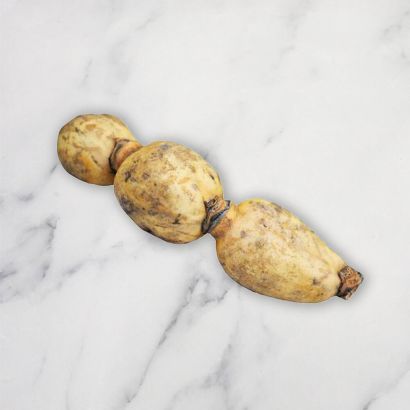 Lotus Root