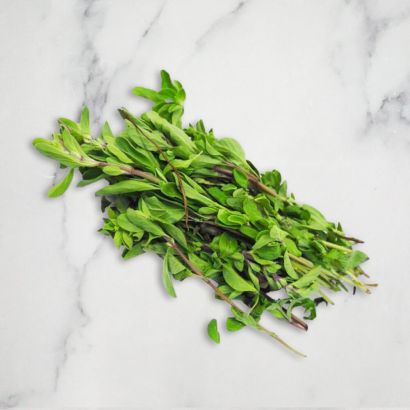 Marjoram
