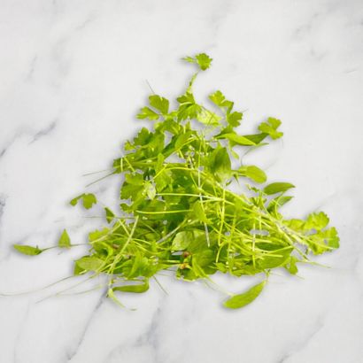 Parsley
