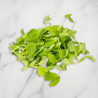 Micro Pea Shoots