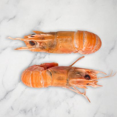 Norwegian Langoustine
