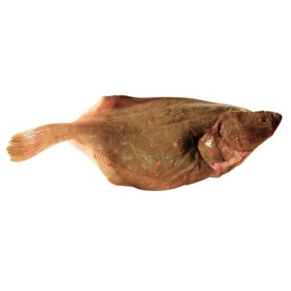 Wild Plaice, 2 x +/- 450-650g