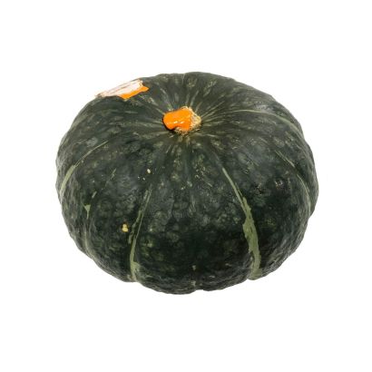 Delica Squashes, x 2