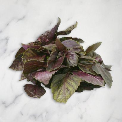Red Basil
