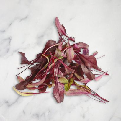 Red Chard