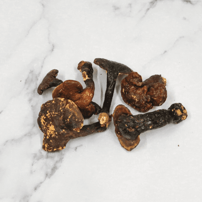 Red Reishi Mushooms