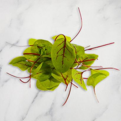 Red Vein Sorrel
