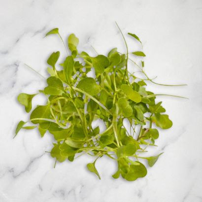 Rocket Micro Herb