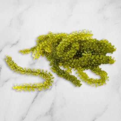 Sea Grapes