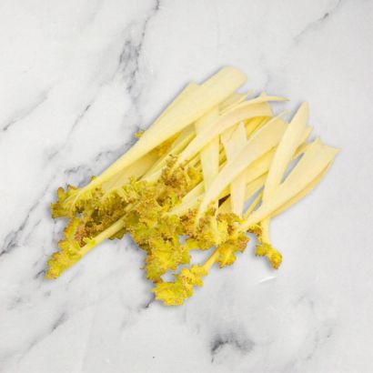 Buy Sea Kale Online & in London UK