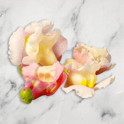 Buy Snapdragon Flowers Online & in London UK