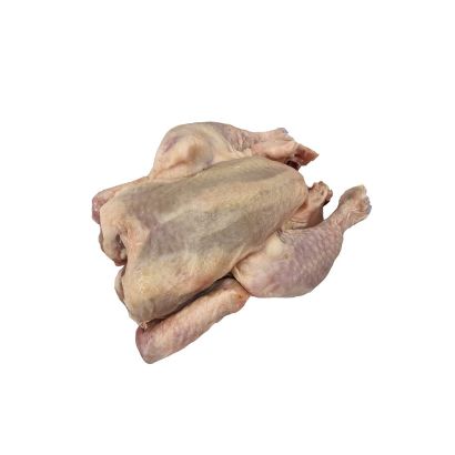 Spatchcock Poussin, Fresh, x 2