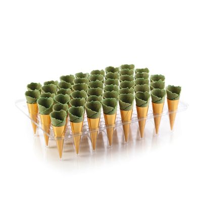 Savoury Fillable Basil Mini Canape Cones, x 45