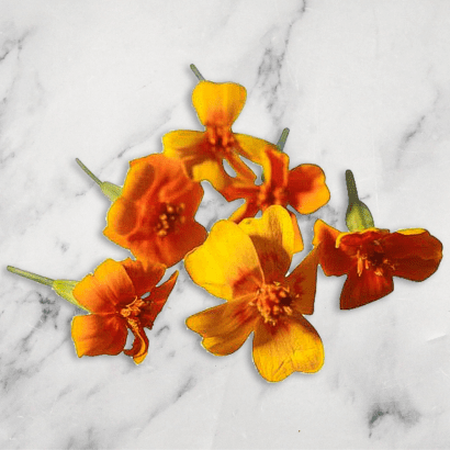 Buy Tagette Flowers Online & In London UK