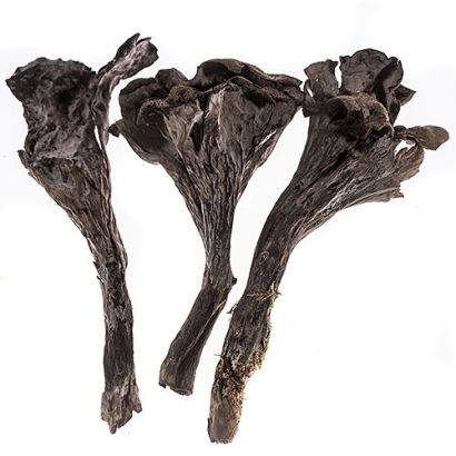 Trompette de la Mort, Dried