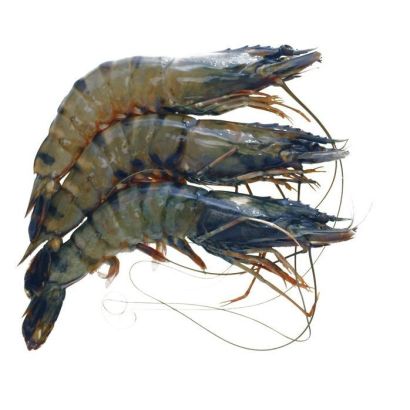 Whole Tiger Prawns, Frozen Raw, (Gross Weight: +/-1kg, Net Weight: +/-700g, 16-20)