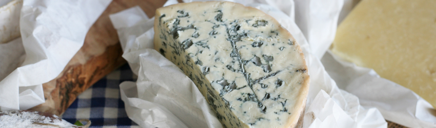 fourme d'ambert cheese