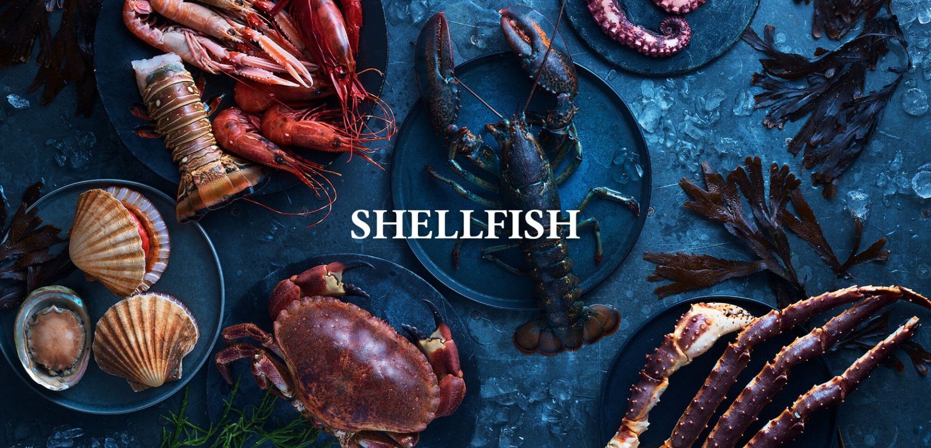 Shellfish