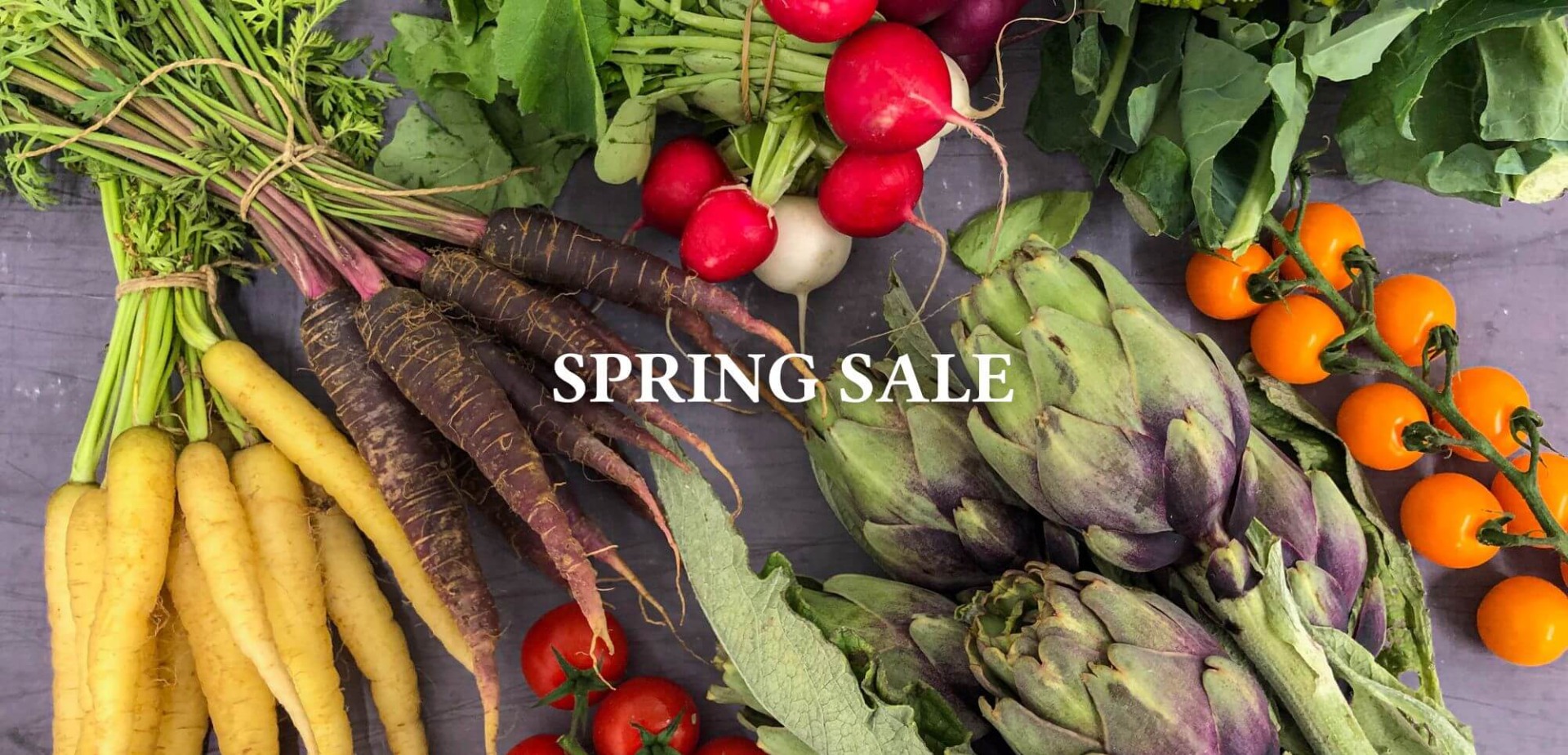 Spring Sale