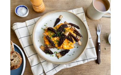 Scrambled Eggs with Morel Mushrooms 