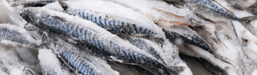 frozen seafood