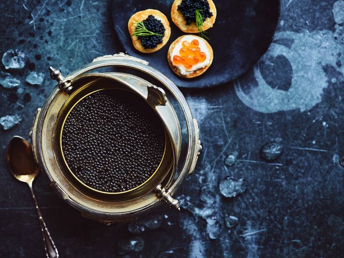 different varieties from caviar from wholesale caviar supplier - Fine Food Specialist