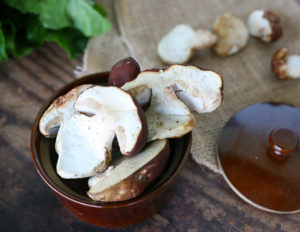 Porcini Mushrooms